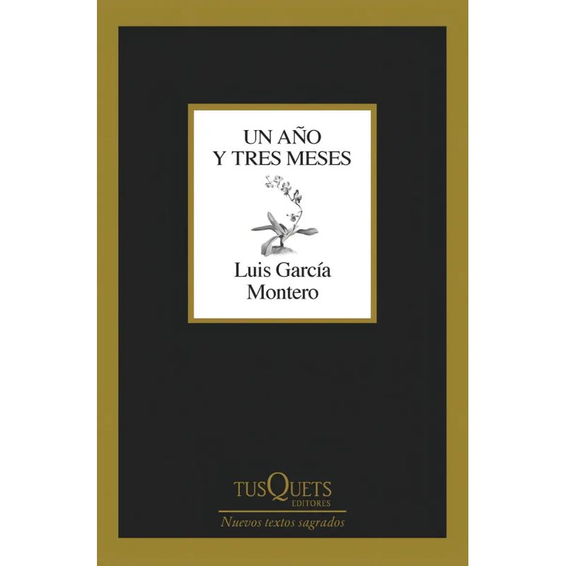 UN AÑO Y TRES MESES (Nuevo)