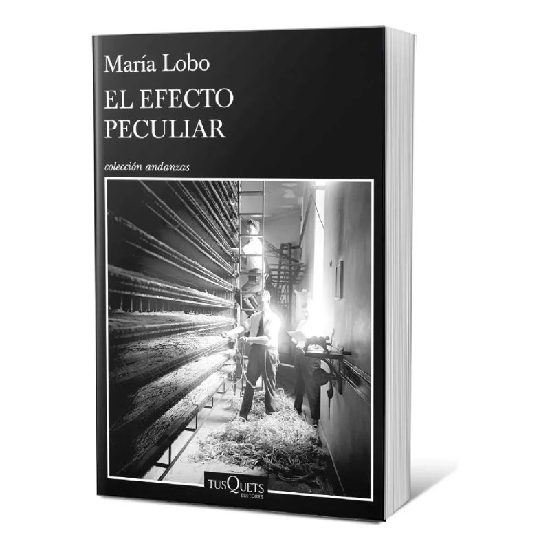 EFECTO PECULIAR, EL (Nuevo)