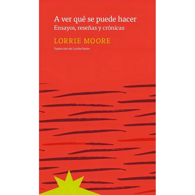 A VER QUE SE PUEDE HACER. ENSAYOS, RESEÑAS Y CRONICAS. (Nuevo)