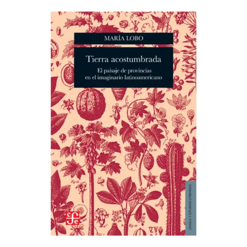 TIERRA ACOSTUMBRADA - EL PAISAJE DE PROVINCIAS EN EL IMAGINARIO LATINOAMERICANO (Nuevo)