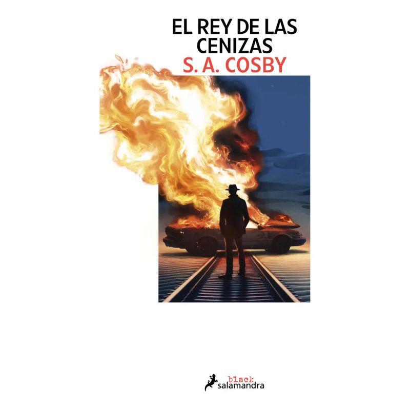 REY DE LAS CENIZAS, EL (Nuevo)