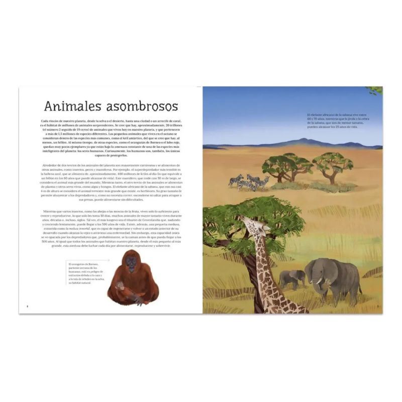 ENCICLOPEDIA ILUSTRADA DE LOS ANIMALES - TD (Nuevo) - Miniatura 3