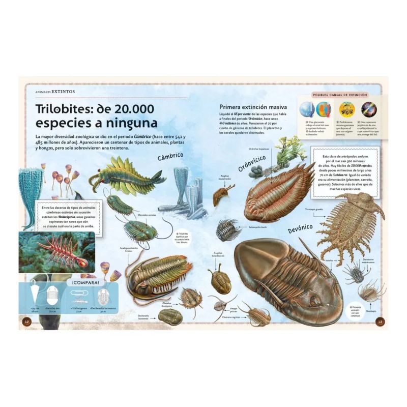 MAGNIFICO LIBRO DE LOS ANIMALES EXTINTOS, EL (Nuevo) - Miniatura 2