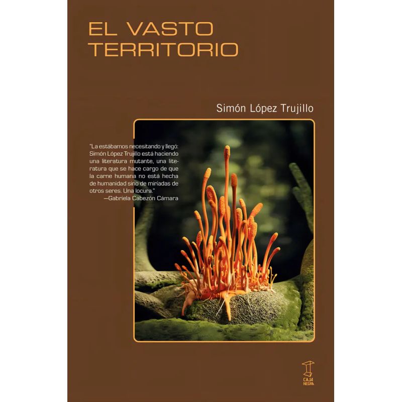 VASTO TERRITORIO, EL (Nuevo)
