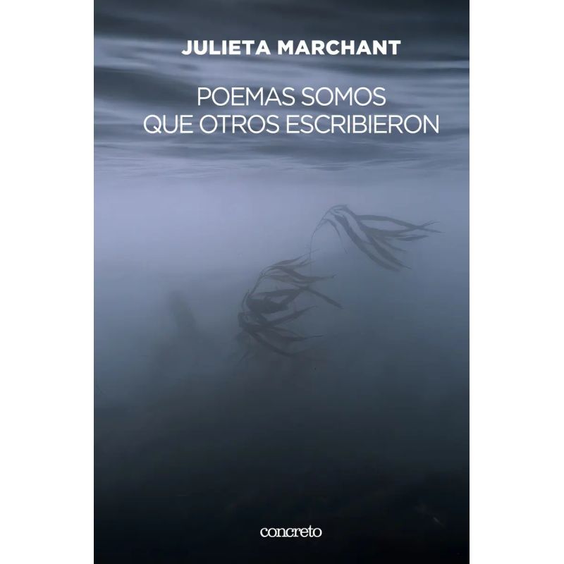 POEMAS SOMOS QUE OTROS ESCRIBIERON (Nuevo)