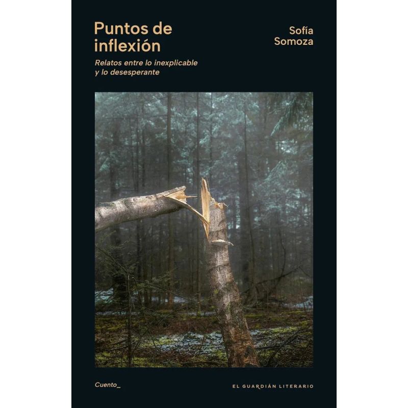 PUNTOS DE INFLEXION (Nuevo)