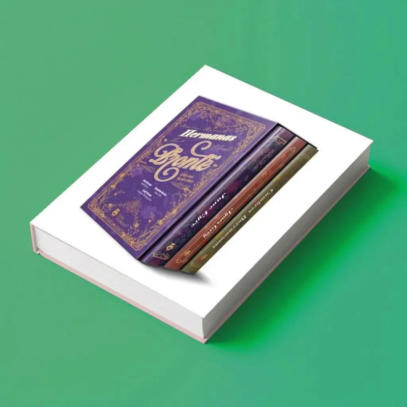 OBRAS SELECTAS DE LAS HERMANAS BRONTE - BOX SET 3 LIBROS (Nuevo) - Miniatura 5