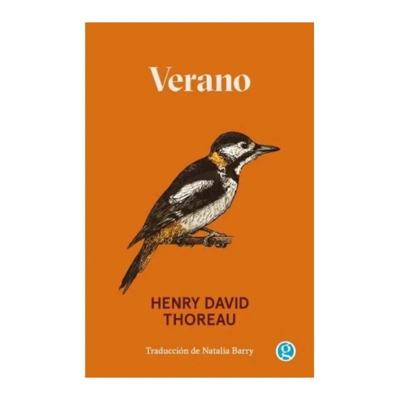 VERANO (Nuevo)