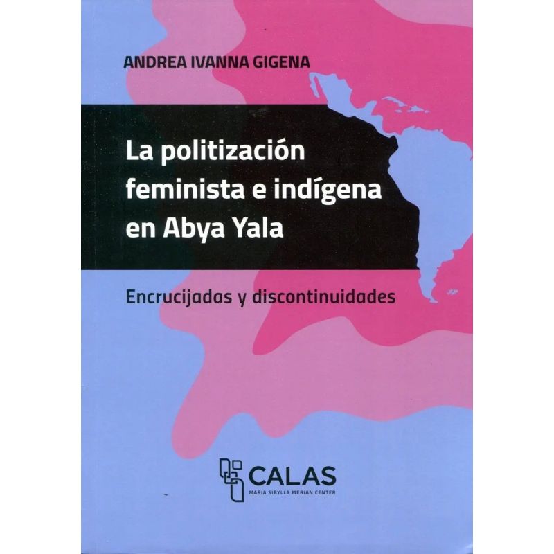 POLITIZACION FEMINISTA E INDIGENA EN ABYA YALA (Nuevo)