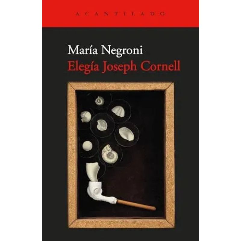 ELEGIA JOSEPH CORNELL (Nuevo)