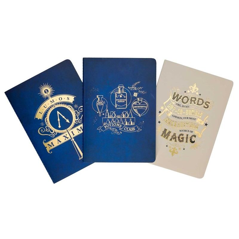 HARRY POTTER: SPELL AND POTIONS PLANNER NOTEBOOK COLLECTION (SET OF 3) (Nuevo)