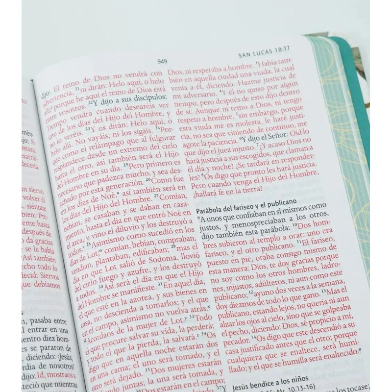 BIBLIA RVR 1960 LETRA GRANDE - TD CON FLORES BLANCAS Y CANTOS PINTADOS (Nuevo) - Miniatura 3