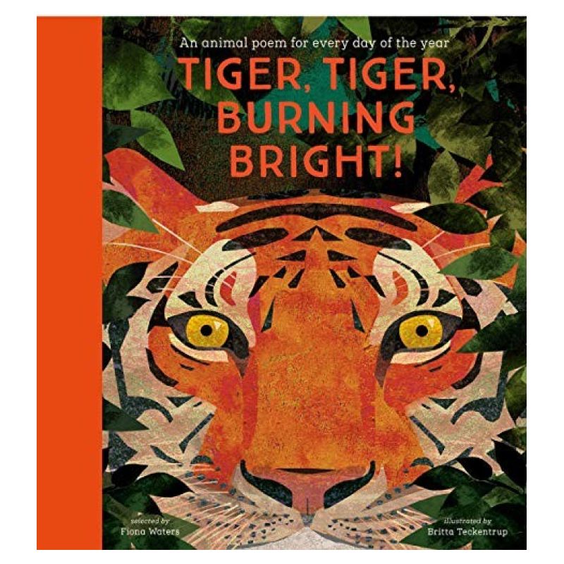TIGER, TIGER, BURNING BRIGHT - HB (Nuevo)