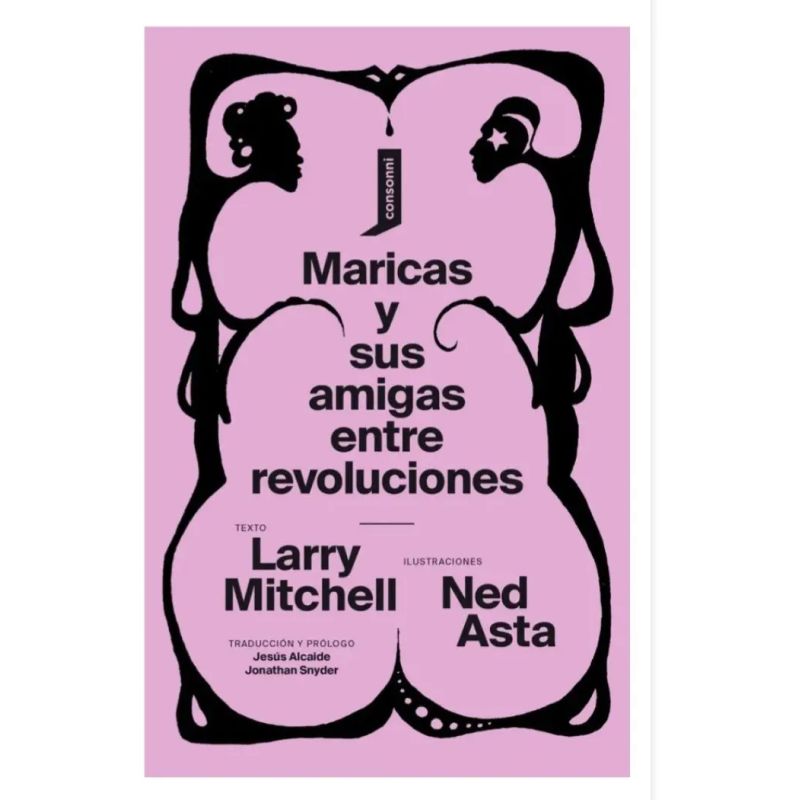 MARICAS Y SUS AMIGAS ENTRE REVOLUCIONES (Nuevo) - Miniatura 2