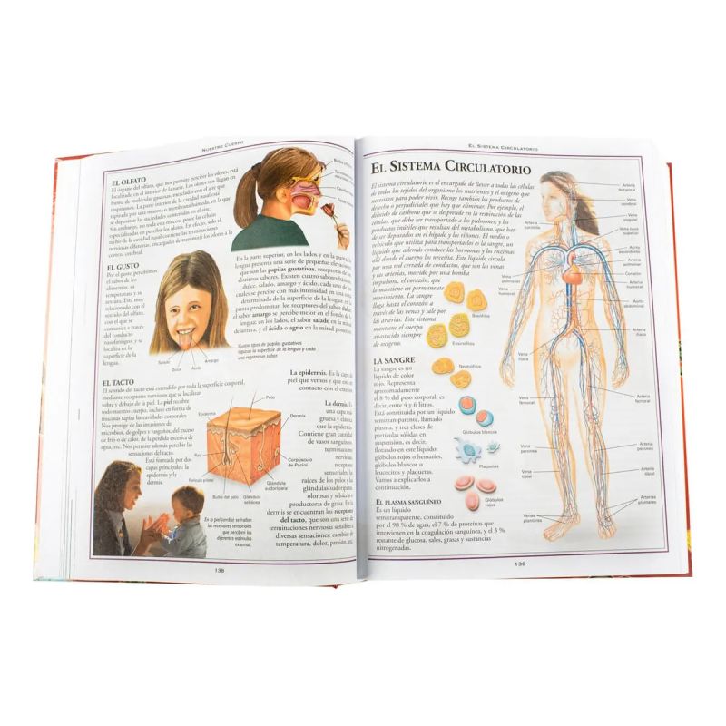 MI GRAN ENCICLOPEDIA PRIMARIA EDUCATIVA + CD-ROM - TD (Nuevo) - Miniatura 3