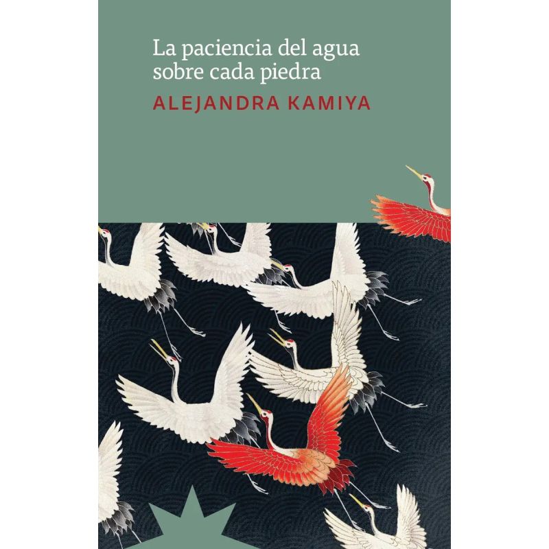 PACIENCIA DEL AGUA SOBRE CADA PIEDRA, LA (Nuevo)