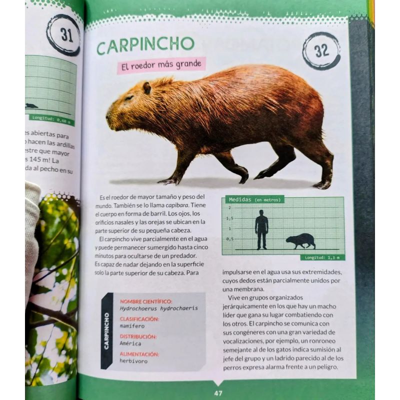 365 ANIMALES TERRESTRES Y MARINOS - TD - Miniatura 3