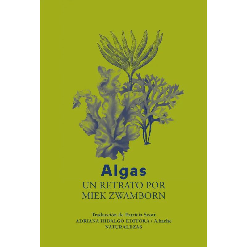ALGAS (RUSTICA)