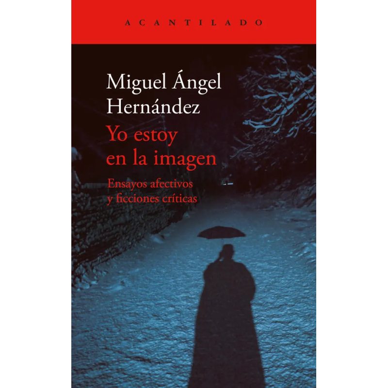 YO ESTOY EN LA IMAGEN ENSAYOS AFECTIVOS Y FICCIONES CRITICAS (RUSTICO)