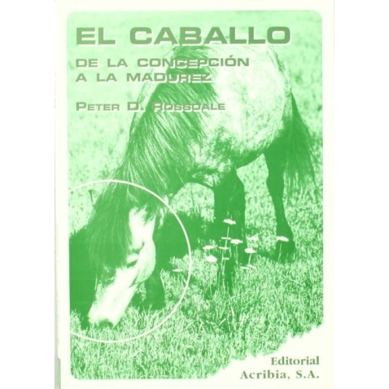 CABALLO DE LA CONCEPCION A LA MADUREZ