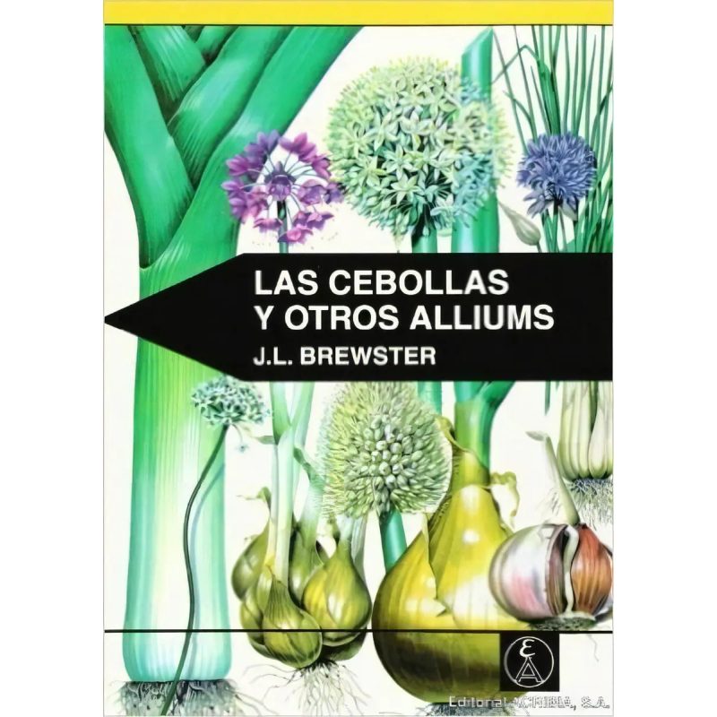 CEBOLLAS Y OTROS ALLIUMS