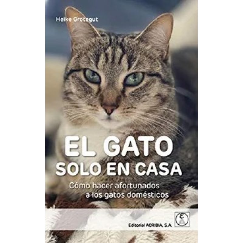 GATO SOLO EN CASA COMO HACER AFORTUNADOS A LOS GATOS DOMESTICOS