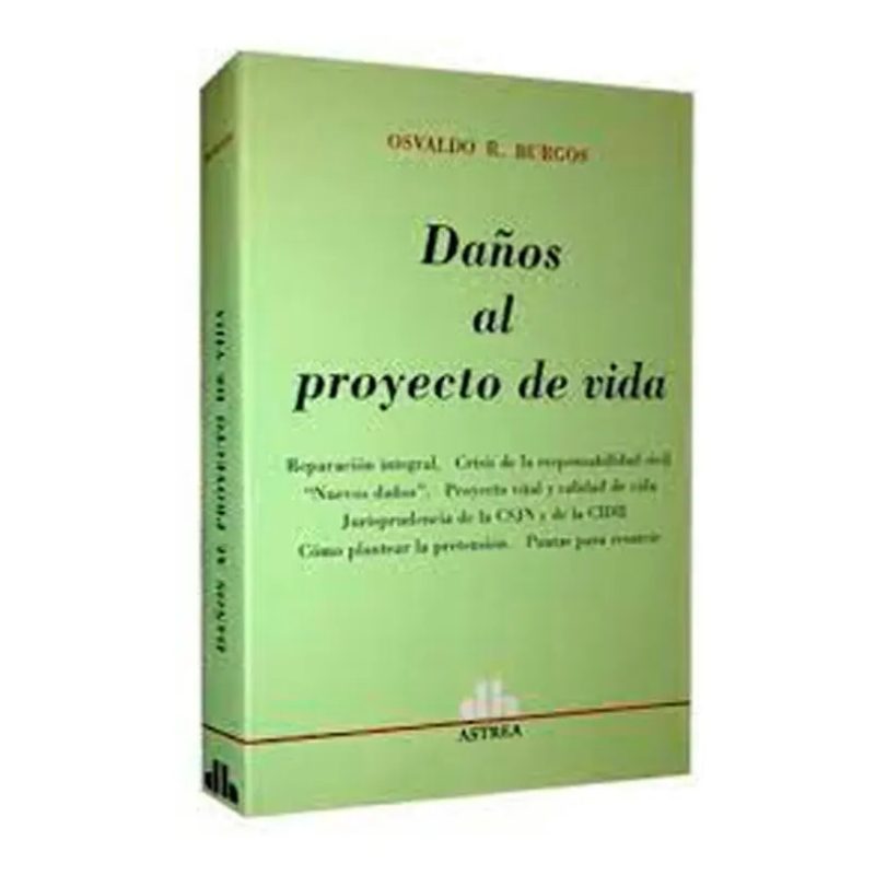 DAÑOS AL PROYECTO DE VIDA