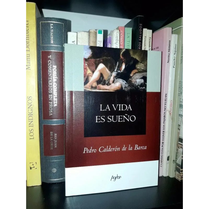 VIDA ES SUEÑO (RUSTICA)