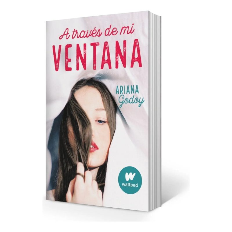 A TRAVES DE MI VENTANA (TRILOGIA HERMANOS HIDALGO 1) (COLECCION WATTPAD)