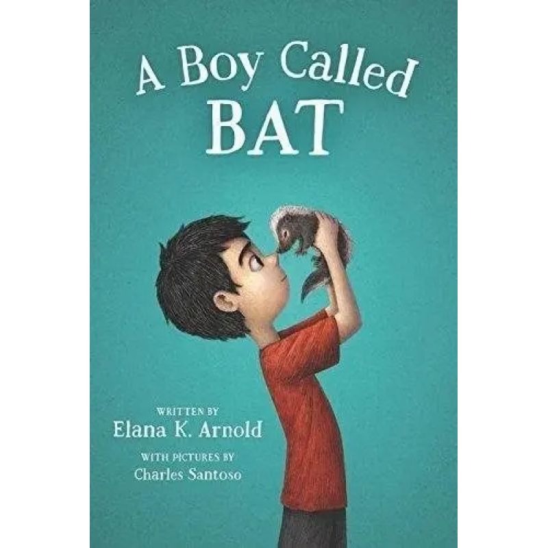 BOY CALLED BAT, A - THE BAT SERIES 1