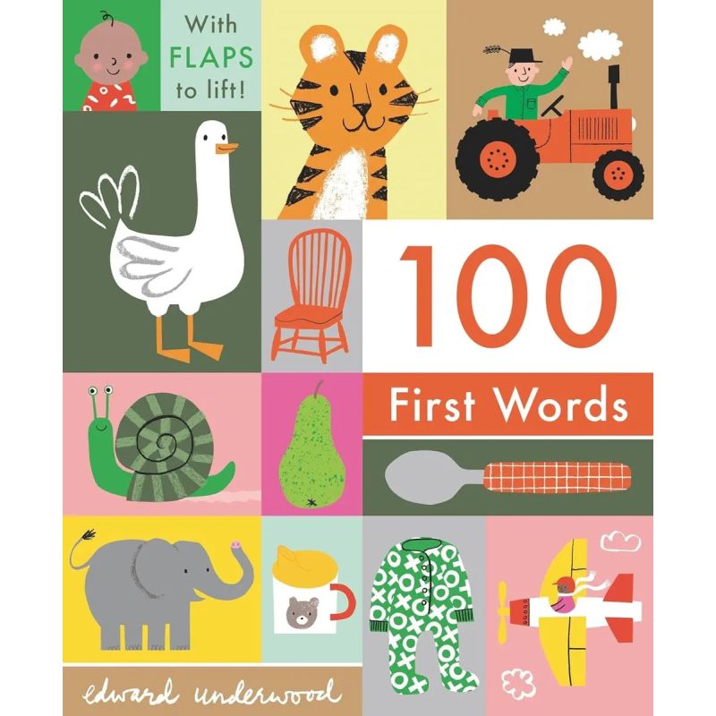 100 FIRST WORDS - WITH FLAPS TO LIFT! - BOARD BOOK