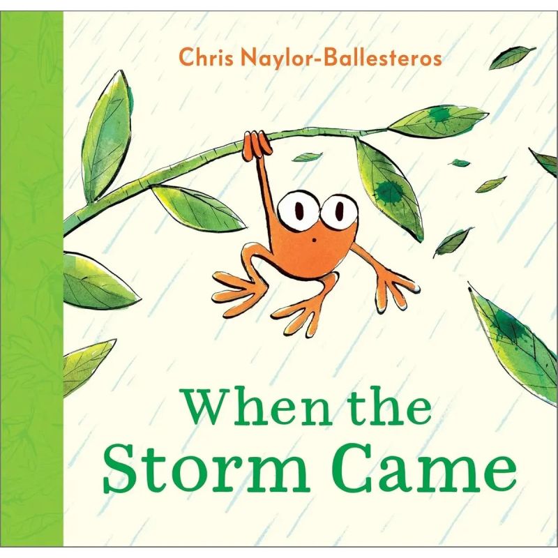 WHEN THE STORM CAME - PB