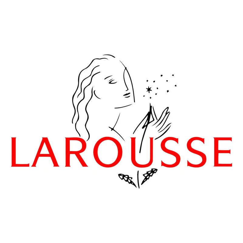 MI LIBRO DE JUEGOS LAROUSSE 100% NIÑOS