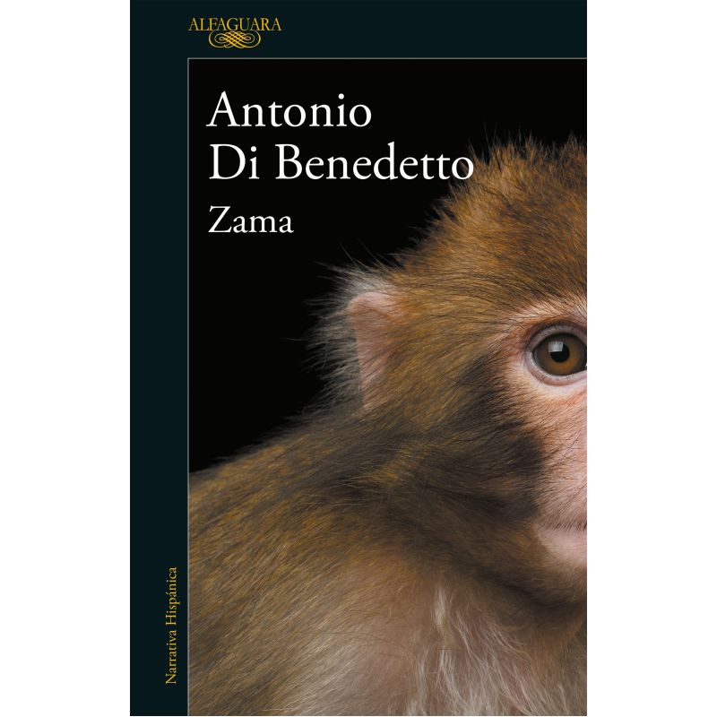 ZAMA