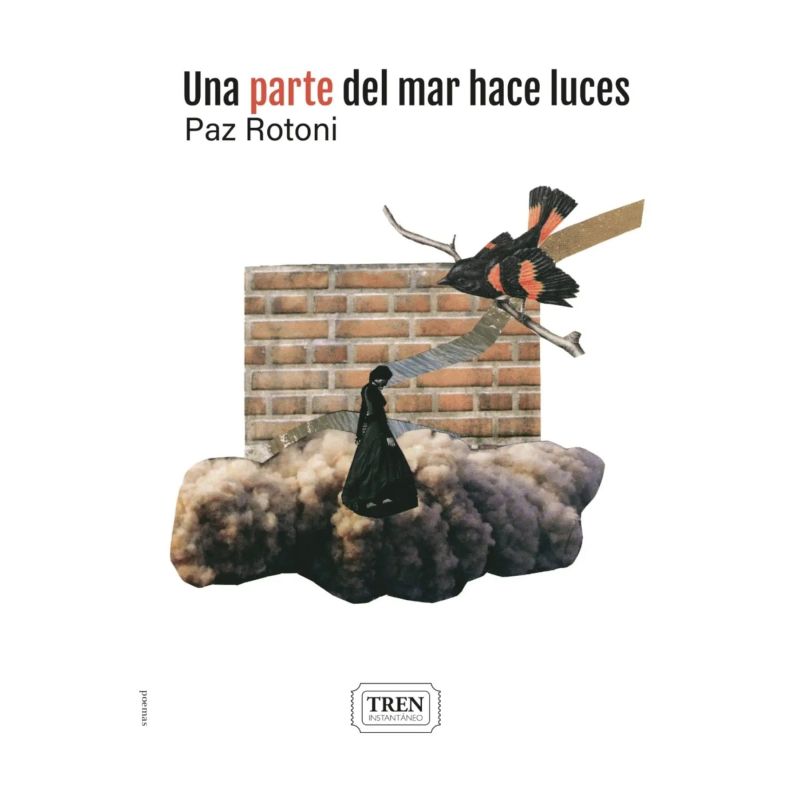 UNA PARTE DEL MAR HACE LUCES