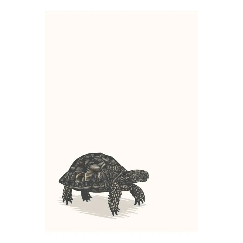 MEDITACIONES ILUSTRADAS - TD - Miniatura 2