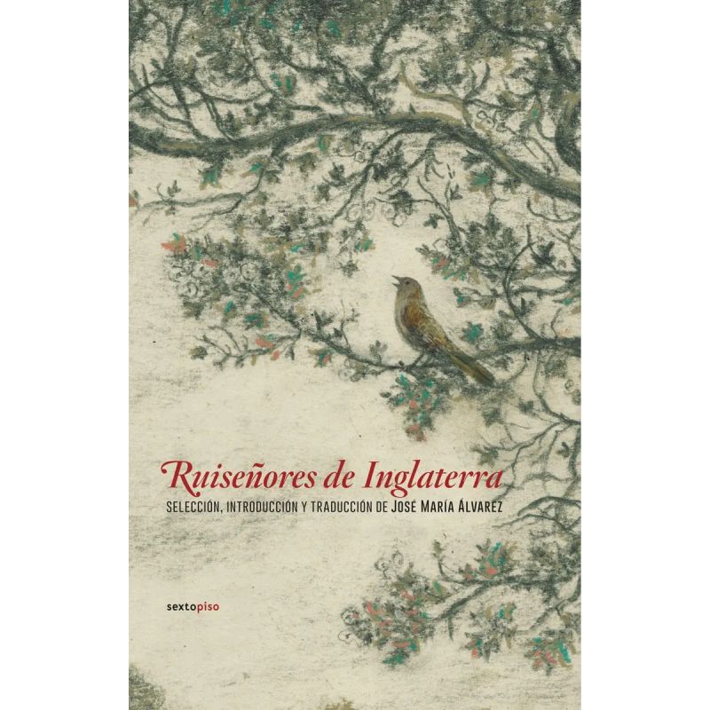 RUISEÑORES DE INGLATERRA