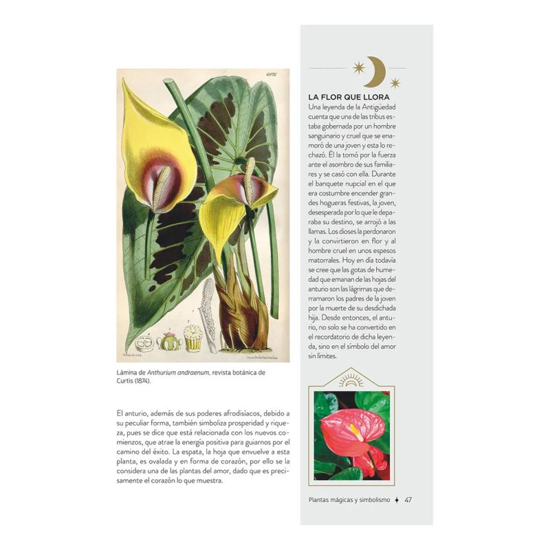 PLANTAS CON PODERES MAGICOS - TD - Miniatura 5