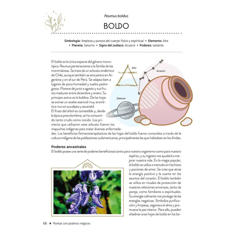 PLANTAS CON PODERES MAGICOS - TD - Miniatura 6