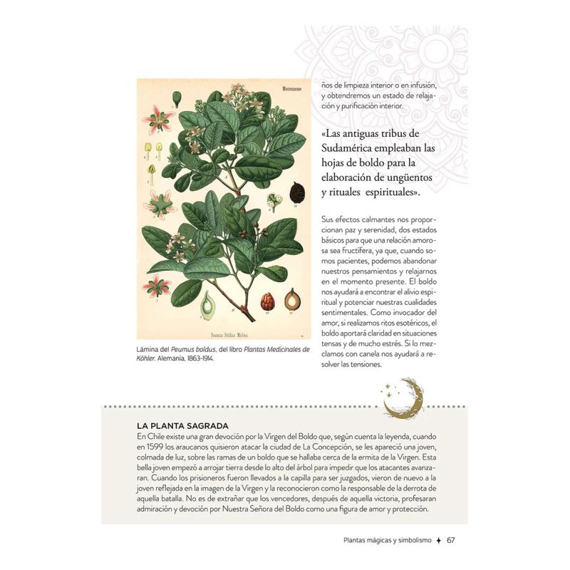 PLANTAS CON PODERES MAGICOS - TD - Miniatura 7