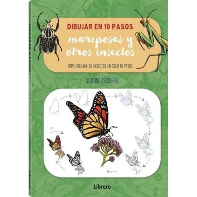 DIBUJAR MARIPOSAS Y OTROS INSECTOS EN 10 PASOS