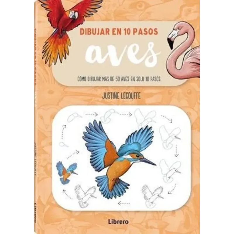 DIBUJAR AVES EN 10 PASOS