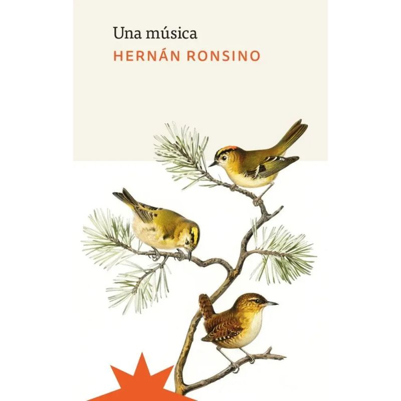 UNA MUSICA