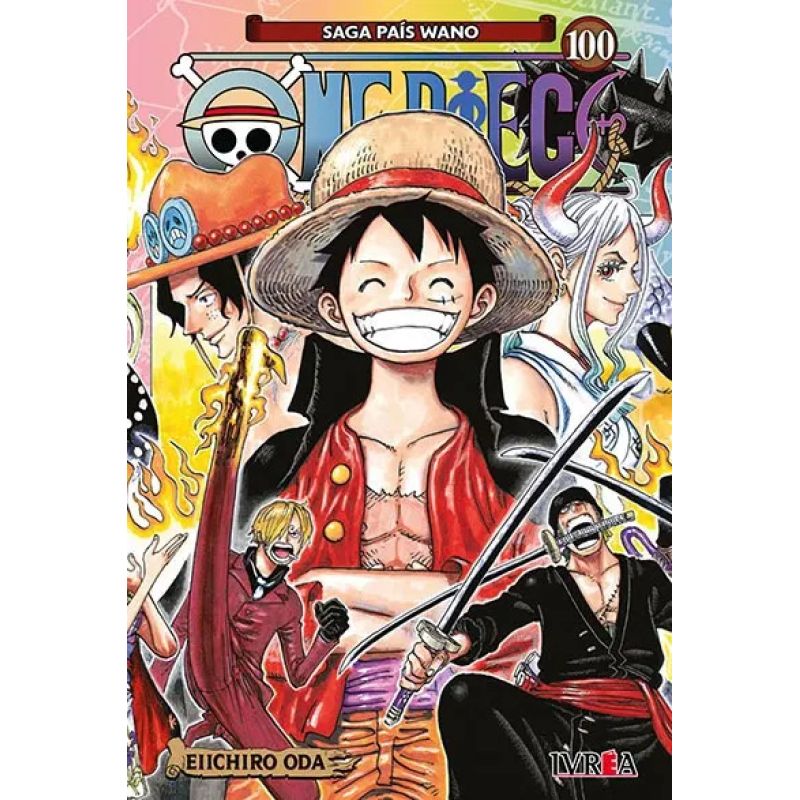 ONE PIECE 100