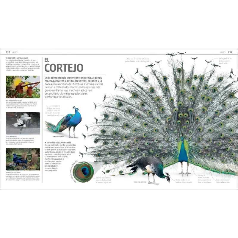 SECRETOS DE LA NATURALEZA