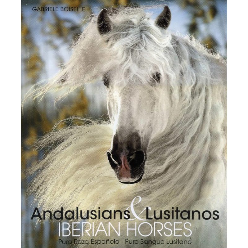 ANDALUSIANS ILUSITANOS IBERIAN HORSO