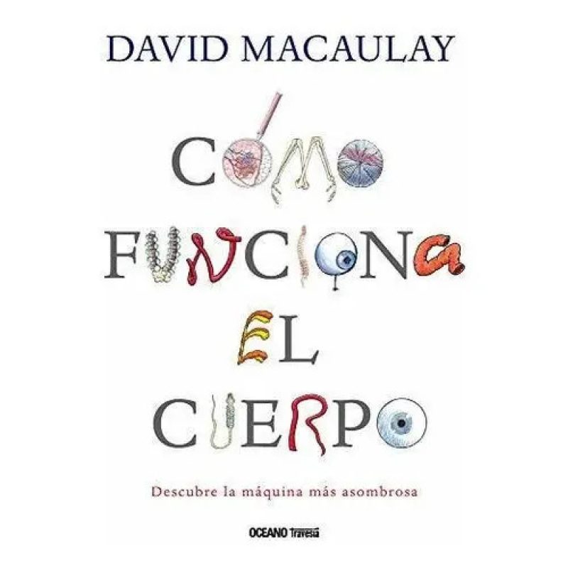 COMO FUNCIONA EL CUERPO