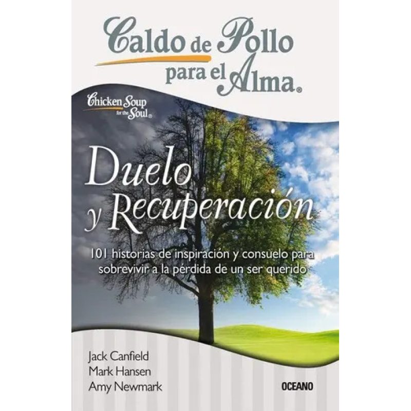 DUELO Y RECUPERACION CALDO DE POLLO PARA EL ALMA