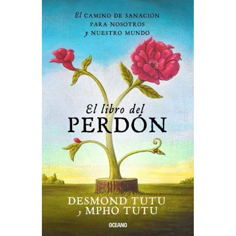 LIBRO DEL PERDON EL