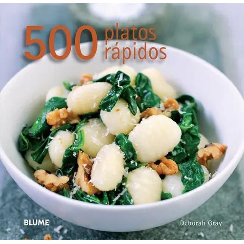 500 PLATOS RAPIDOS